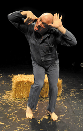 Guy Masterson in Animal Farm (image: Bob Paisley)