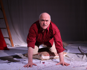 Peter Tate in "Picasso" (image: Nux Photography)